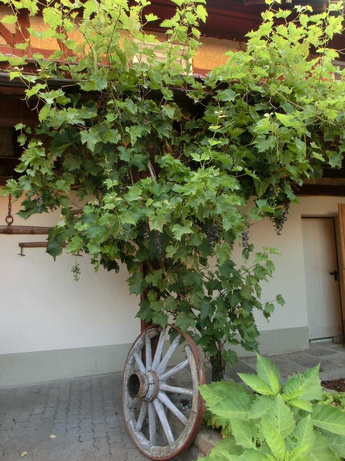 Zehnthof Hotel Geldersheim Luaran gambar